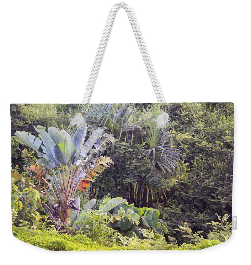 Nature Weekender Tote Bag featuring the photograph Kauai Jungle by Frank Wilson