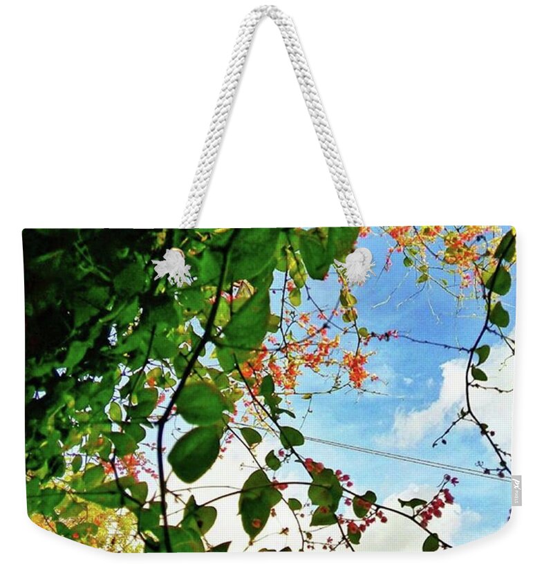 Weekly_feauture Weekender Tote Bag featuring the photograph keep Love In Your Heart. A Life by Loly Lucious