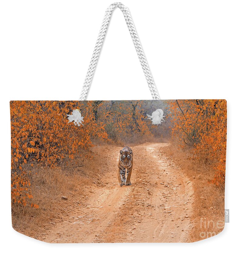 Tiger Weekender Tote Bag featuring the photograph Keep walking by Pravine Chester
