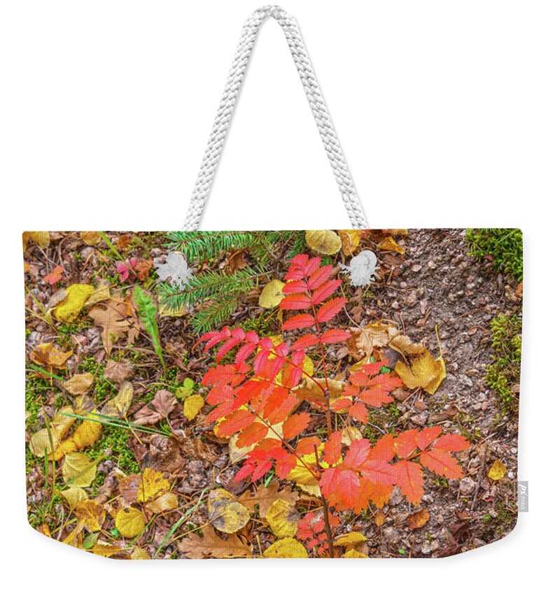 Fall Colors Weekender Tote Bag featuring the photograph Keep Your Bowels Empty And Your Mind Full. Tragically, The Opposite Is True In Our Culture. by Bijan Pirnia
