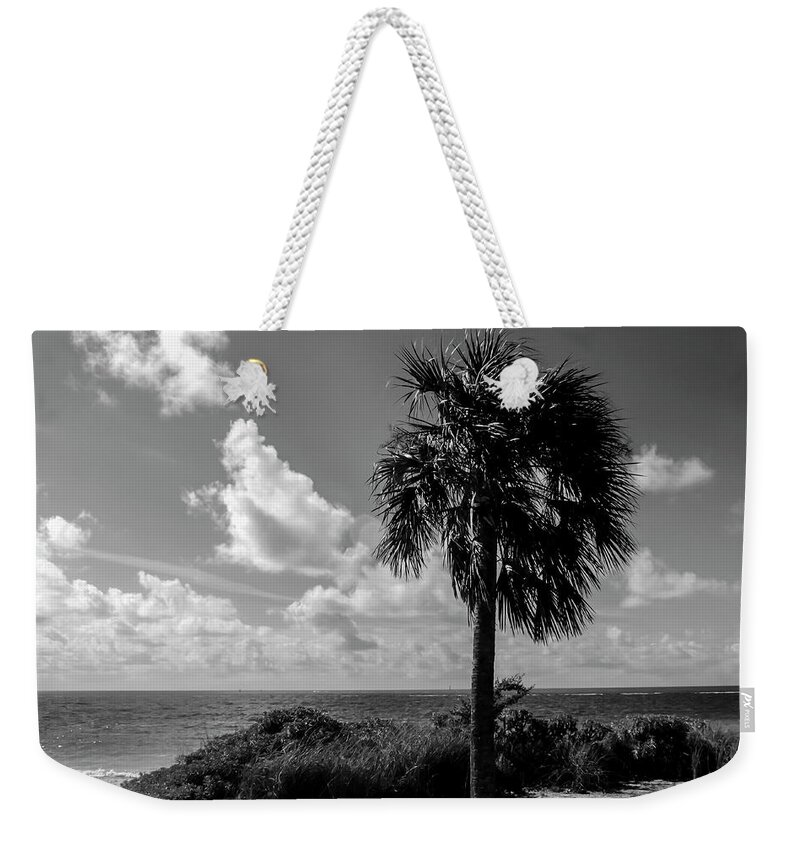 Photo For Sale Weekender Tote Bag featuring the photograph Key West Palm by Robert Wilder Jr