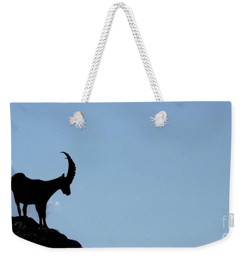 Capra Ibex Weekender Tote Bag featuring the photograph King Of the Alps by Nando Lardi