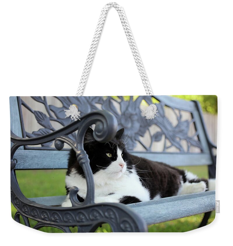 Cat Weekender Tote Bag featuring the photograph King of The Bench by K R Burks