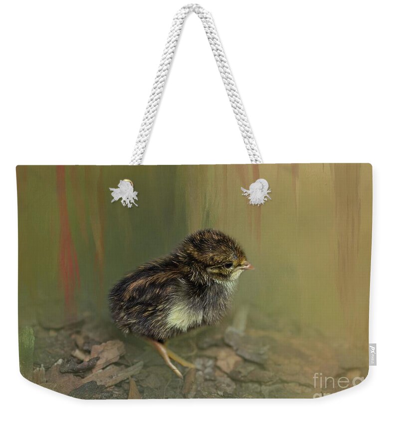 King Quail Weekender Tote Bag featuring the photograph King Quail Chick by Eva Lechner