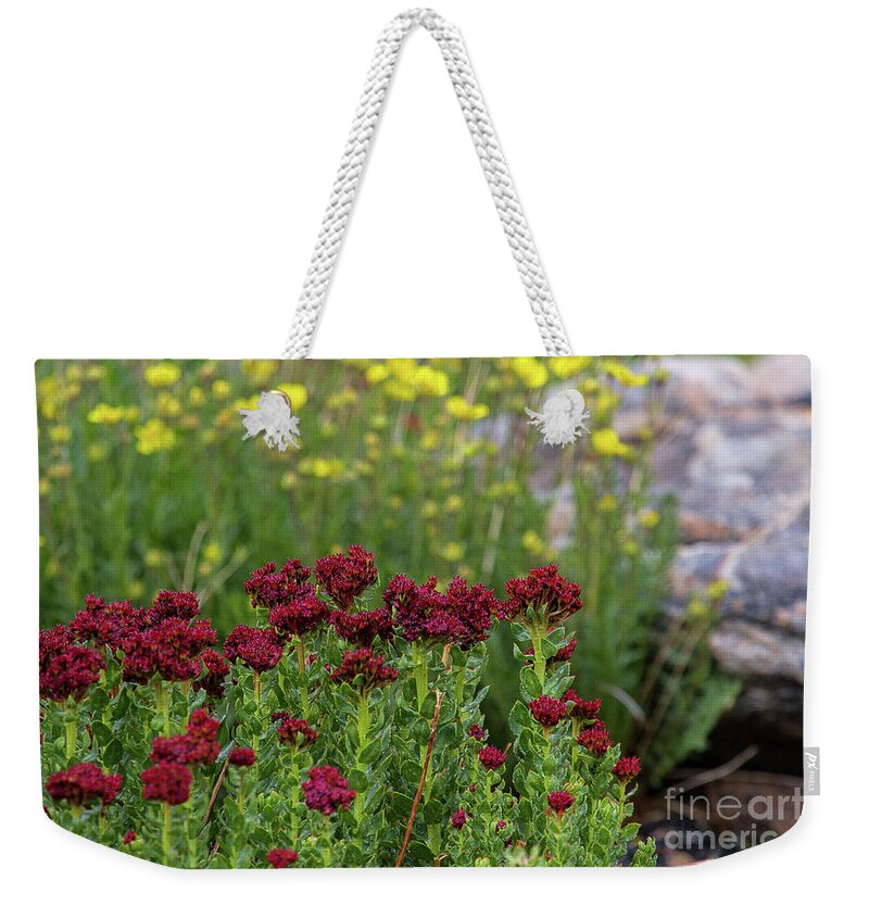 Wildflowers Weekender Tote Bag featuring the photograph Kings Crown Curtain by Jim Garrison
