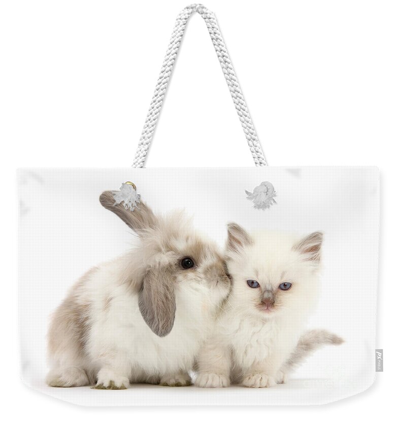 Young Weekender Tote Bag featuring the photograph Kiss her Fluffy Cheek by Warren Photographic