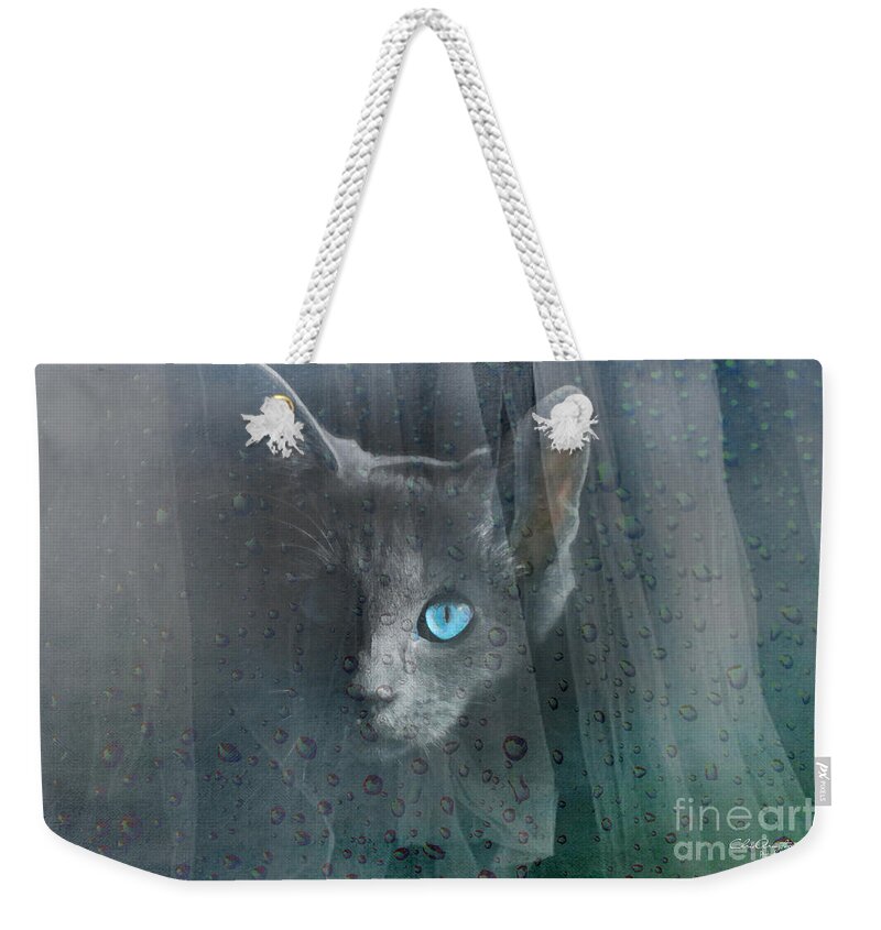 Blue Weekender Tote Bag featuring the photograph Kitty at the Window by Chris Armytage