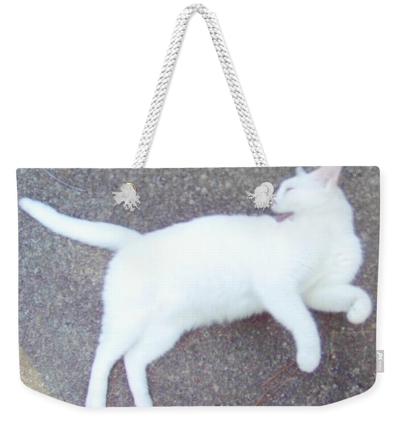 Cat Weekender Tote Bag featuring the photograph Kitty Ballet by Denise F Fulmer