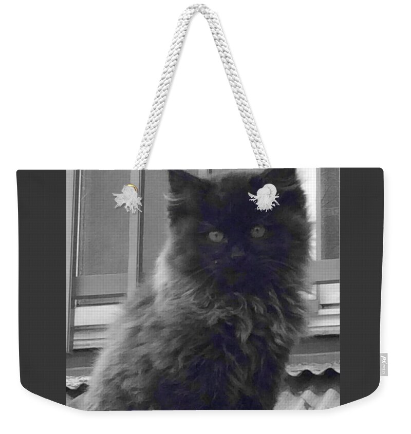 Kitty Weekender Tote Bag featuring the photograph Kitty by Kumiko Izumi