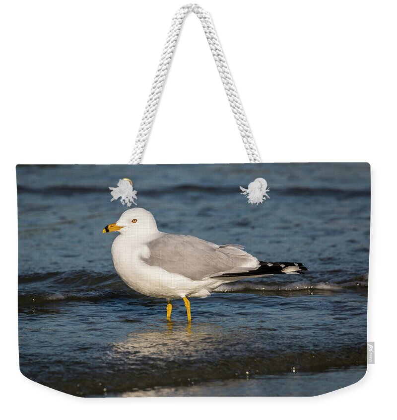 Tybee Island Weekender Tote Bag featuring the photograph Knee-Deep by Ray Silva