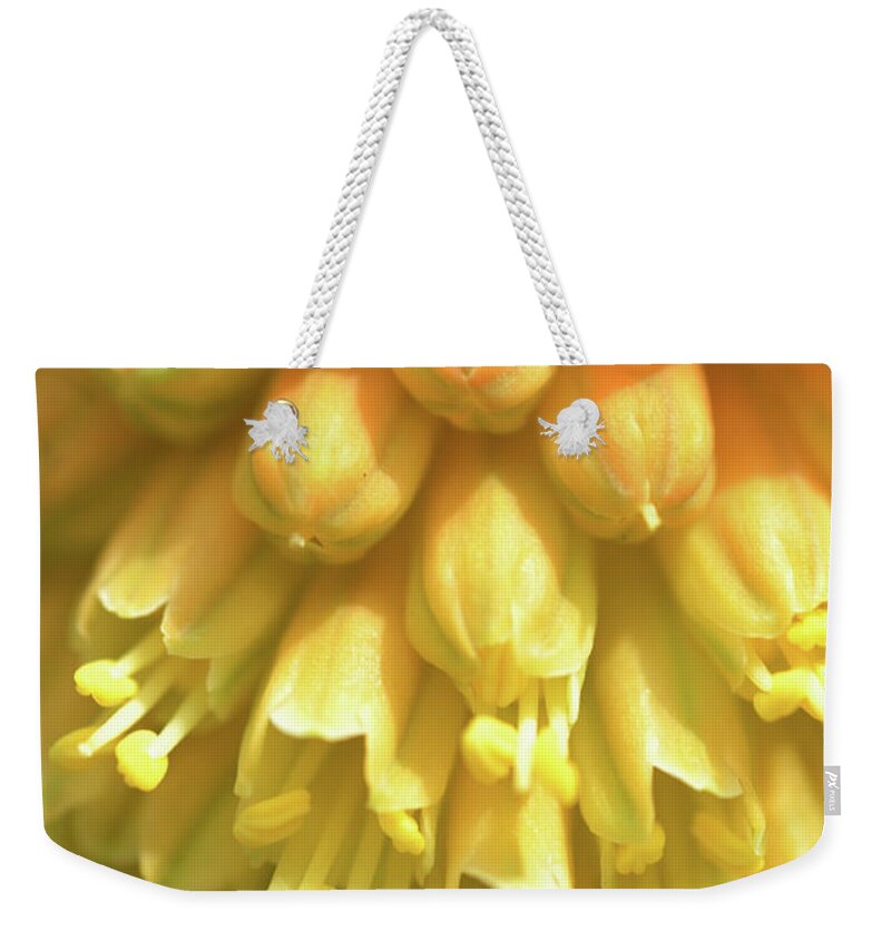 Jenny Rainbow Fine Art Photography Weekender Tote Bag featuring the photograph Kniphofia Flower Macro by Jenny Rainbow