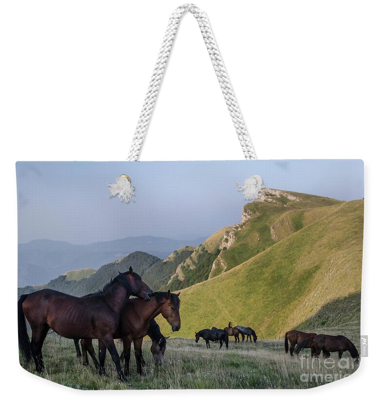 Kobilini Steni Peak Weekender Tote Bag featuring the photograph Kobilini Steni Peak Horses-1 by Steve Somerville