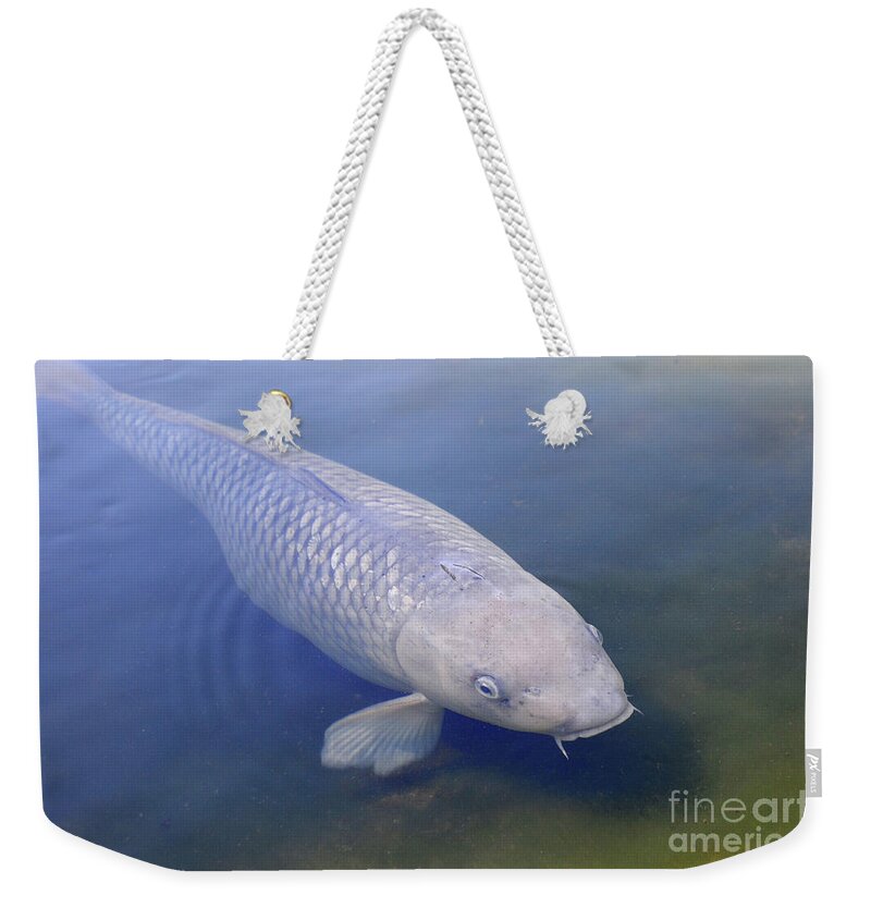  Weekender Tote Bag featuring the photograph Koi 2 by Erica Freeman