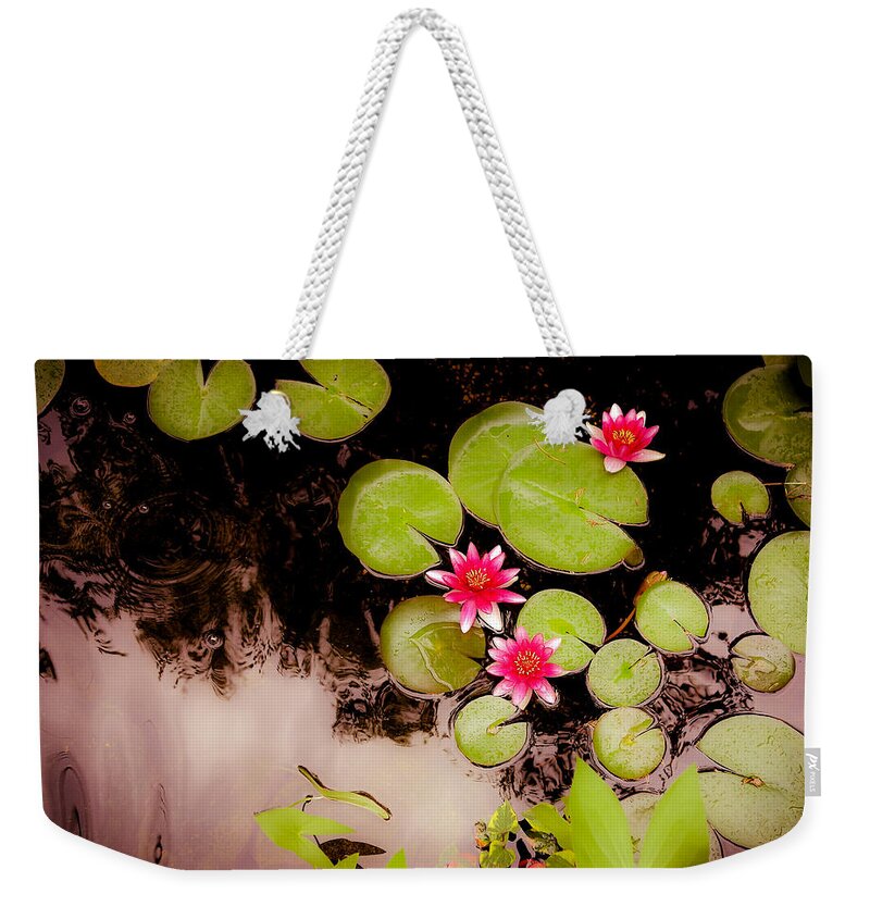 Koi Weekender Tote Bag featuring the photograph Koi Pond with Water Lilies by Hermes Fine Art