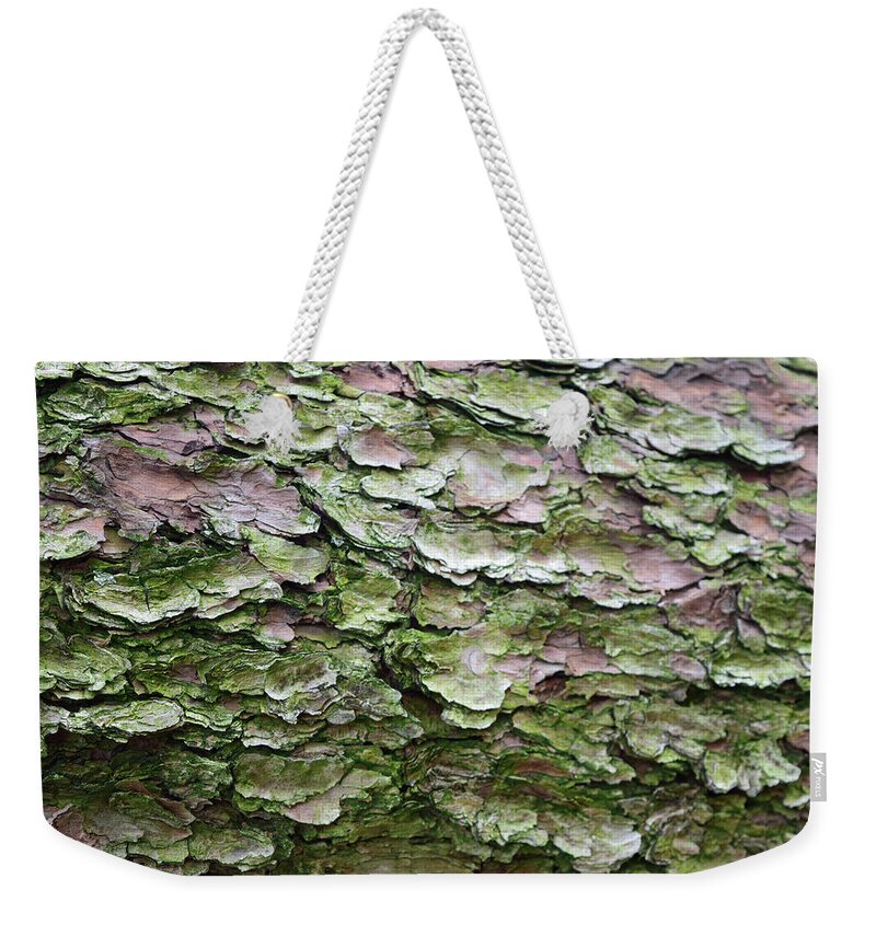 Korean Pine Weekender Tote Bag featuring the photograph Korean Pine No. 5-1 by Sandy Taylor