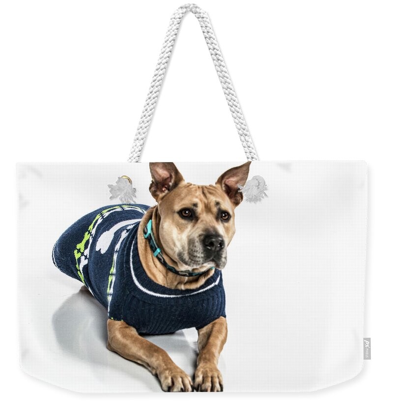 Dog Weekender Tote Bag featuring the photograph Krisin blaise 001 by M K Miller
