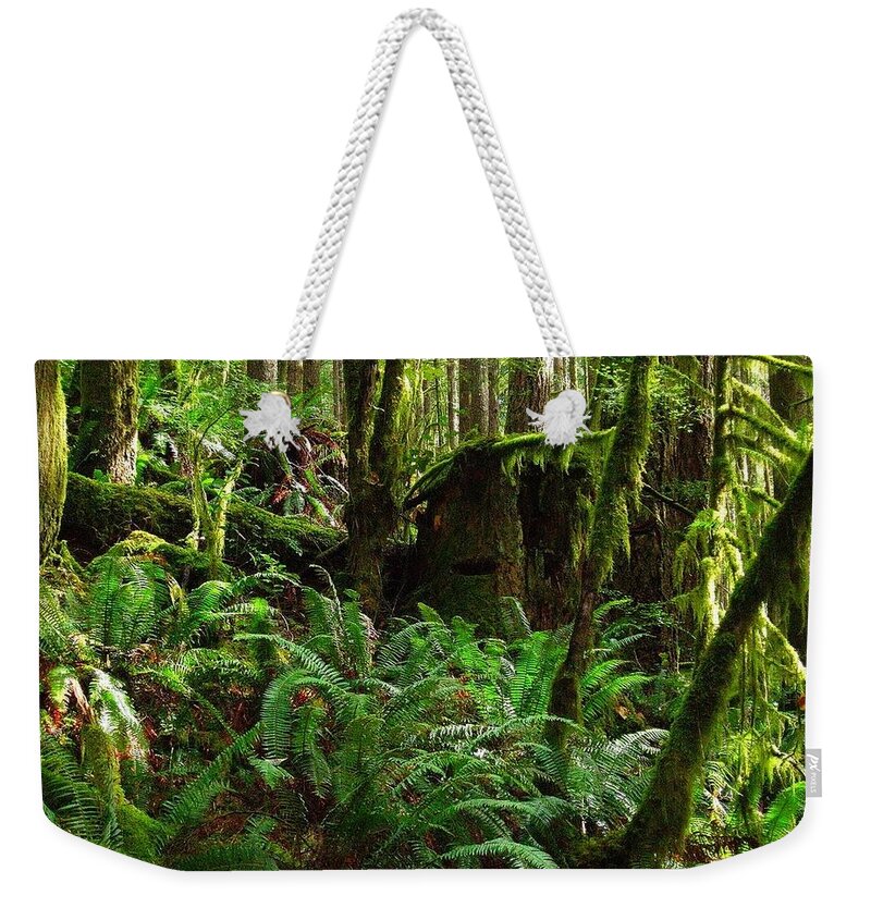 Kuranda Rianforest Weekender Tote Bag featuring the photograph Kuranda Rianforest by Jackie Russo