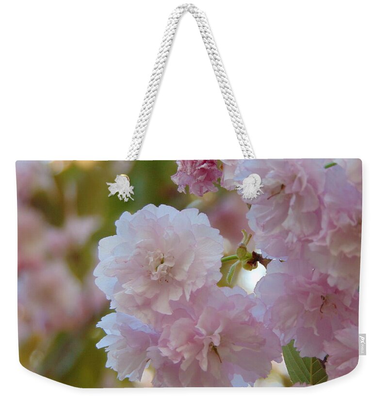 Flowers Weekender Tote Bag featuring the photograph Kwanzan by Richie Parks