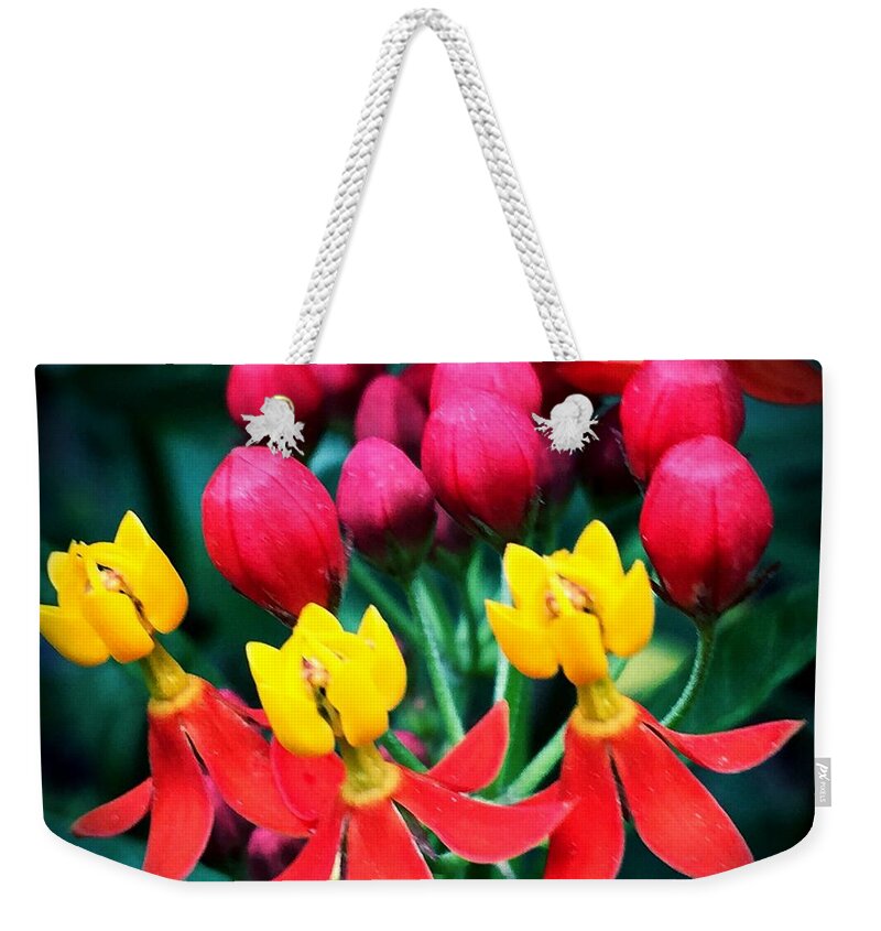 Macro Weekender Tote Bag featuring the photograph Ladies in Waiting by Vonda Lawson-Rosa