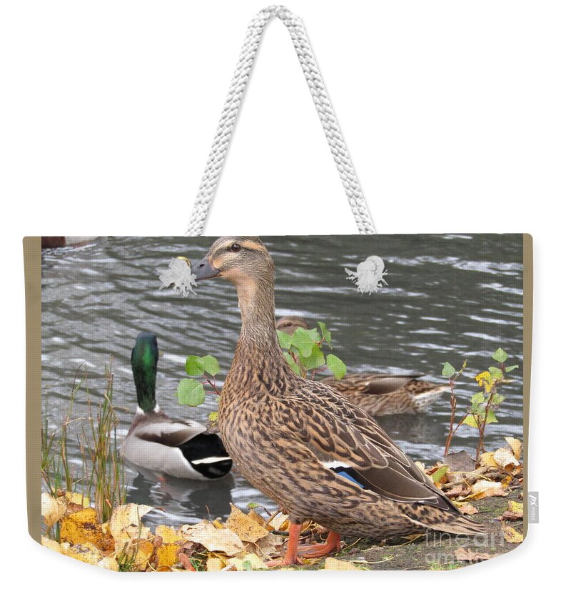 Duck Weekender Tote Bag featuring the photograph Lady Duck by Kim Tran