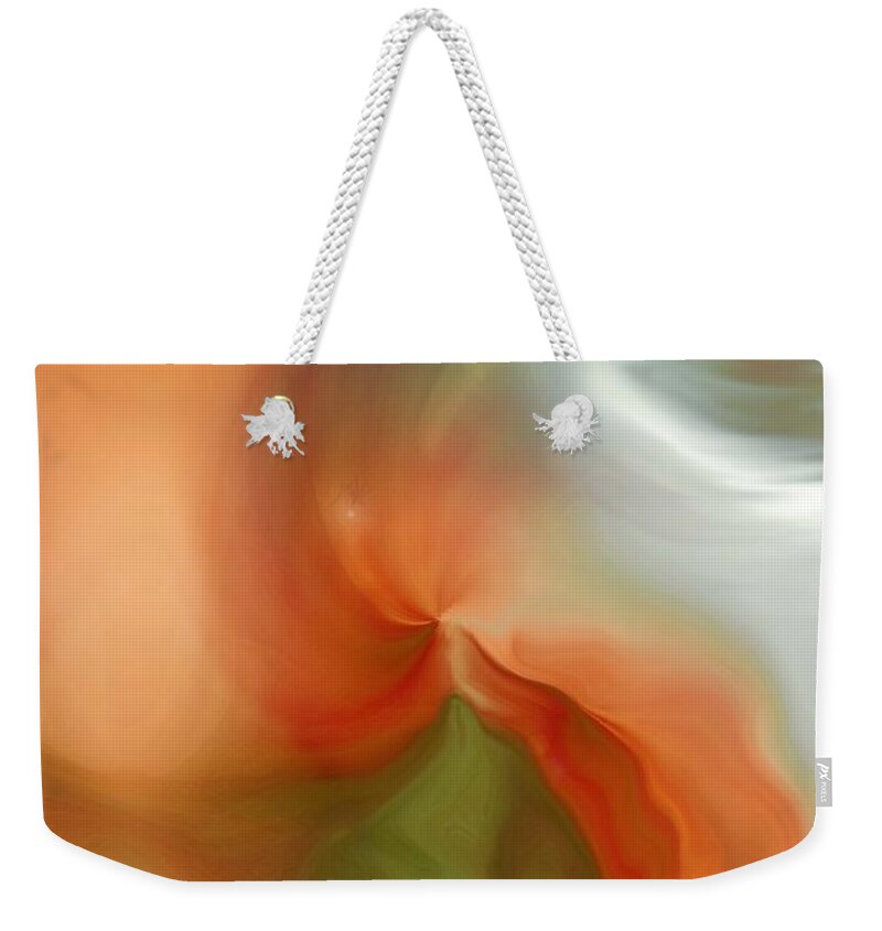 Digital Art Weekender Tote Bag featuring the digital art Lady of Dreams by Linda Sannuti