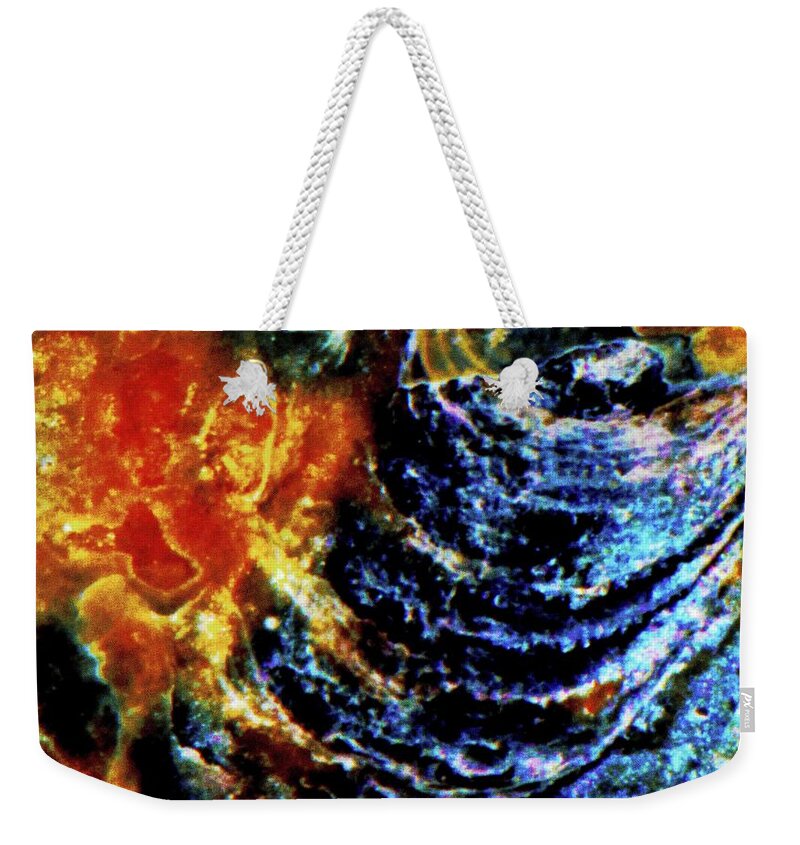 Sea Shell Weekender Tote Bag featuring the photograph Lady of the Shell by Gina O'Brien