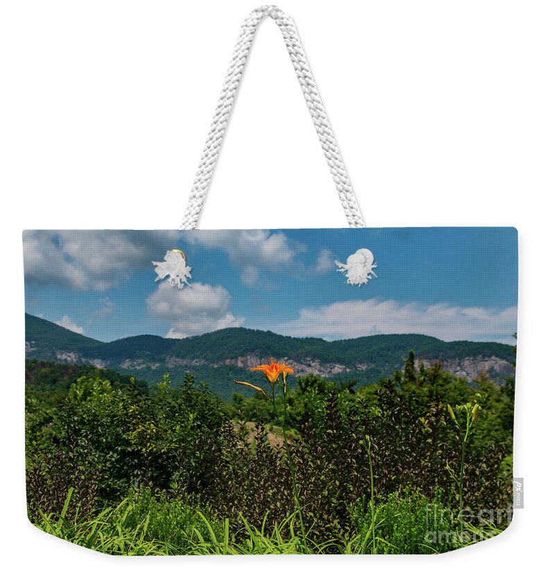 Lake Lure Weekender Tote Bag featuring the photograph Lake Lure #2 by Buddy Morrison