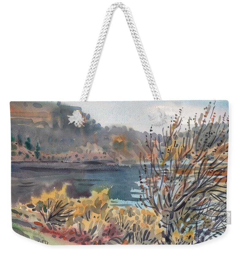 Lake Roosevelt Weekender Tote Bag featuring the painting Lake Roosevelt by Donald Maier