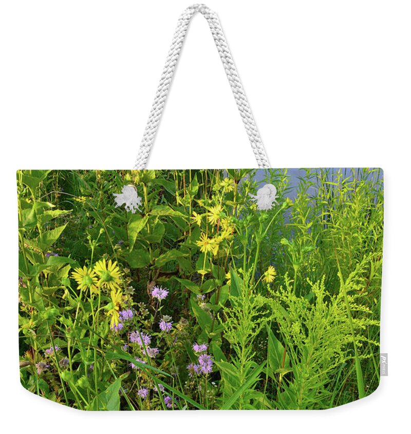 Sunflowers Weekender Tote Bag featuring the photograph Lakeside Wildflowers in Lake County by Ray Mathis