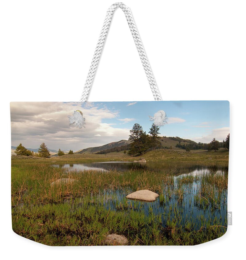 Yellowstone Weekender Tote Bag featuring the photograph Lamar Valley Pond by Steve Stuller