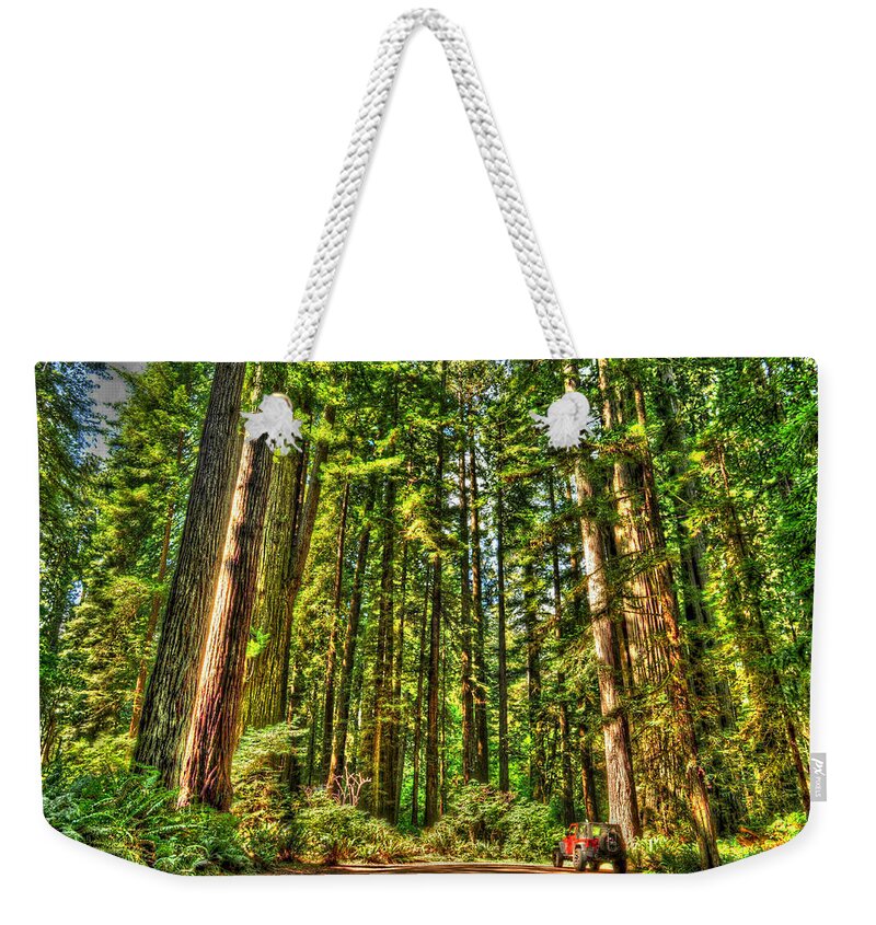 Photograph Weekender Tote Bag featuring the photograph Land of the Giants by Richard Gehlbach