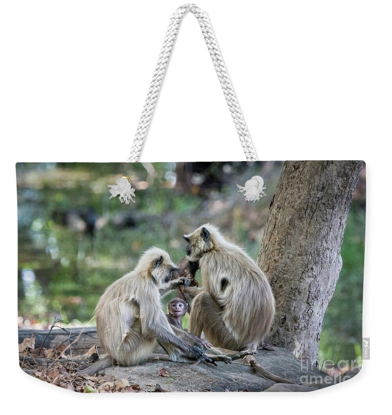 Gray Langur Family Weekender Tote Bag featuring the photograph Langur Family Love by Paulette Sinclair