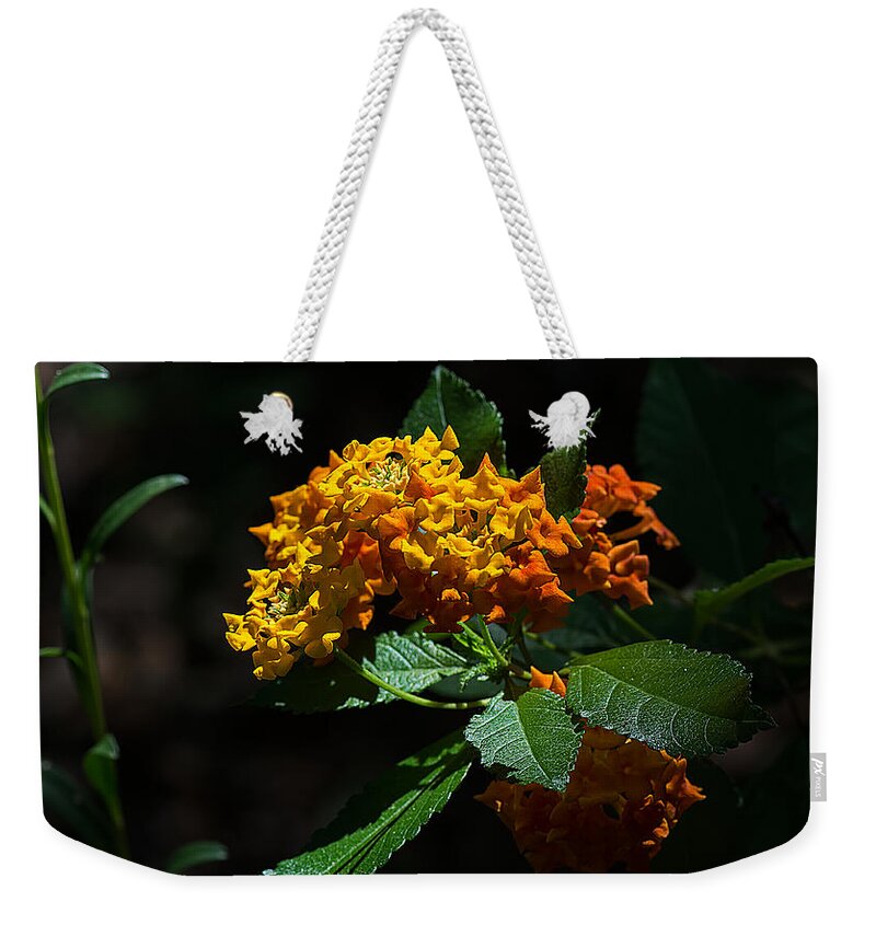 Nature Weekender Tote Bag featuring the photograph Lantana Flowers by Kenneth Albin