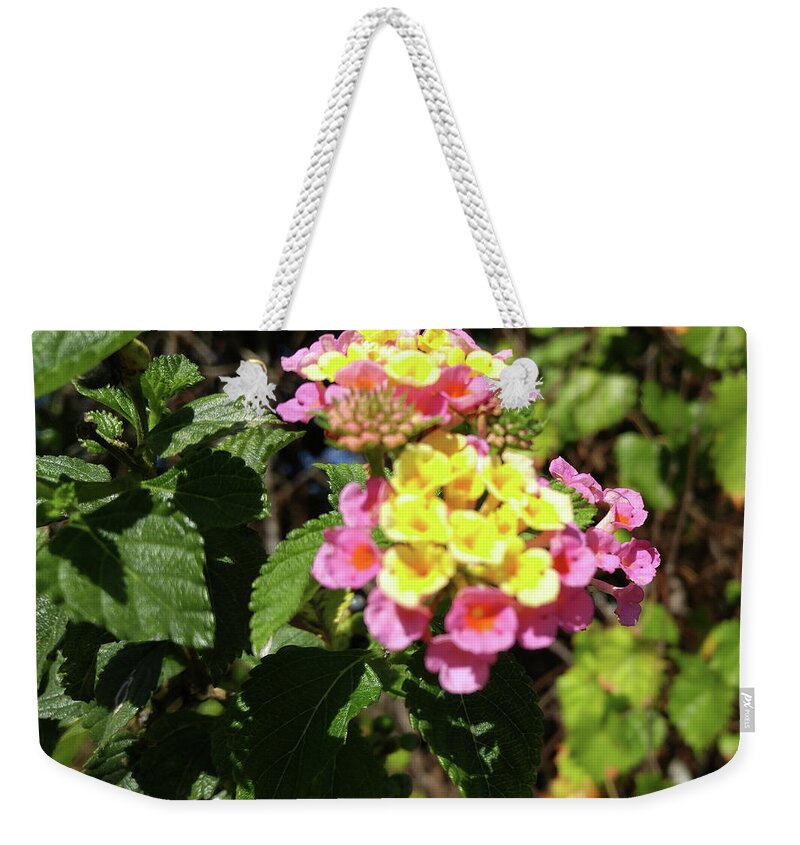 Flower Weekender Tote Bag featuring the photograph Lantana by Richard De Wolfe