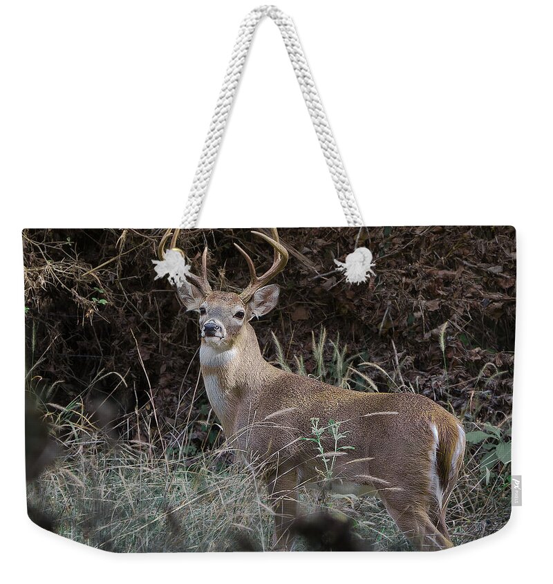 White Tail Deer Weekender Tote Bag featuring the photograph Large buck by John Johnson
