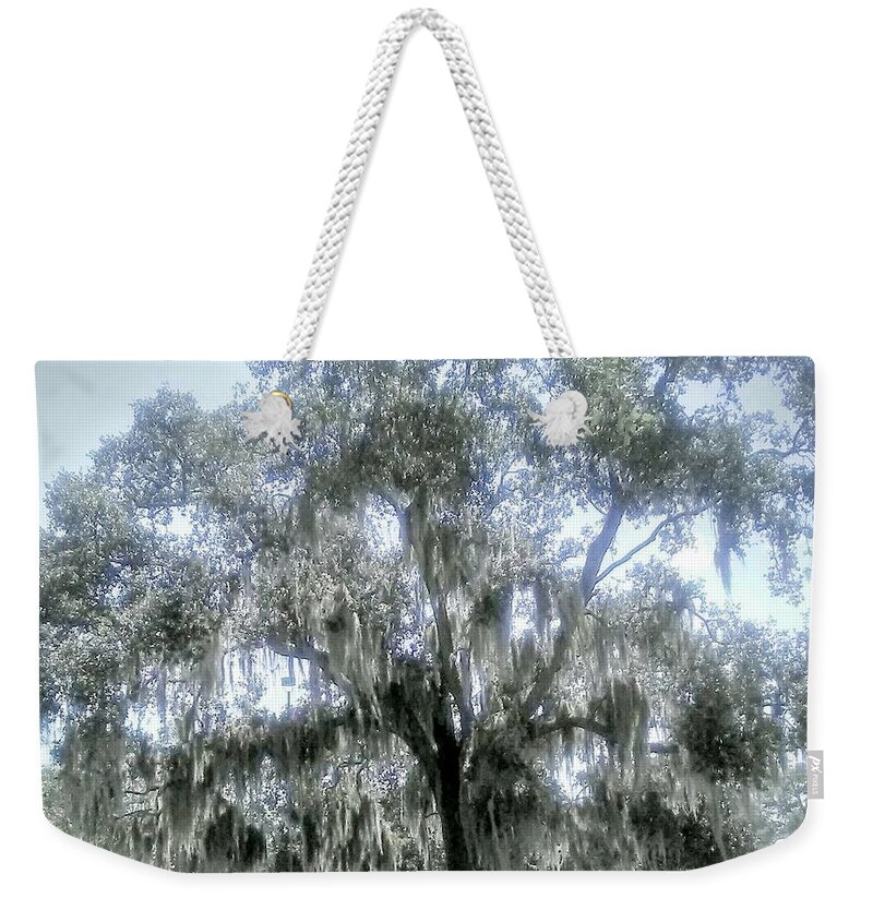 Tree. Florida Weekender Tote Bag featuring the photograph Largo's Spanish Moss by Suzanne Berthier
