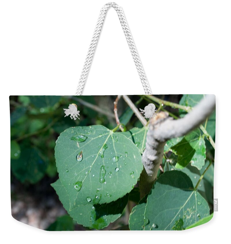 Dew Weekender Tote Bag featuring the photograph Last bits of dew by Angus HOOPER III