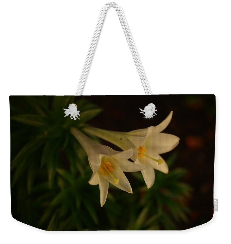 Flowers Weekender Tote Bag featuring the photograph Late Autumn blossom by Jeff Swan