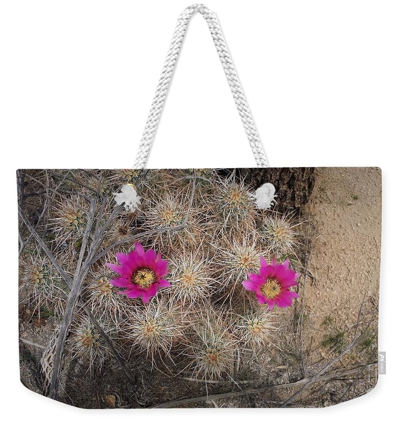Late Bloomers Weekender Tote Bag featuring the photograph Late Bloomer by Angela J Wright