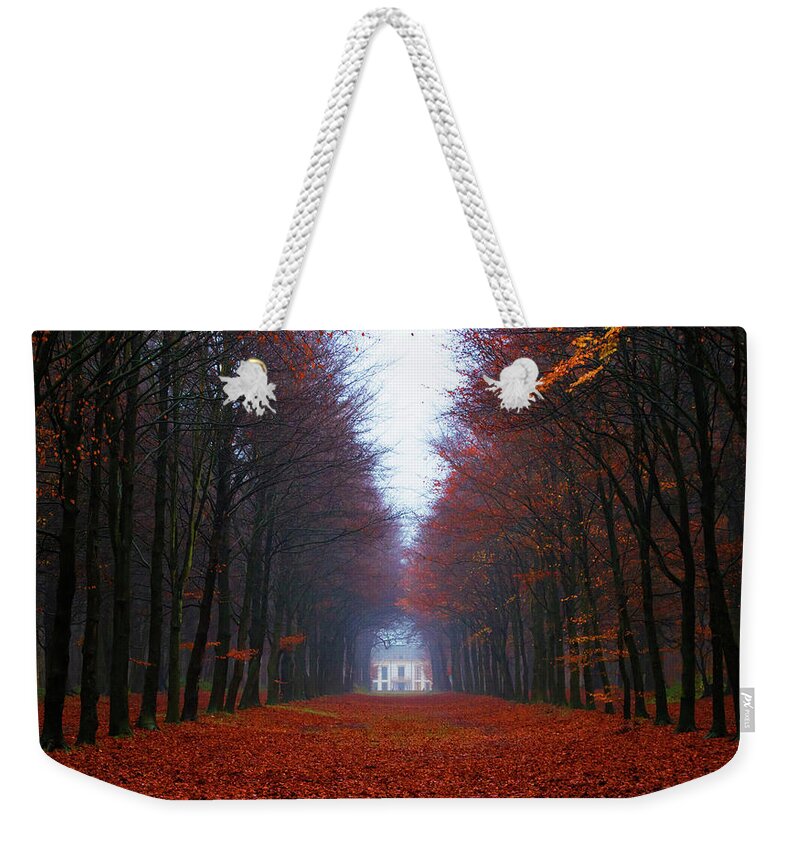 Autumn Weekender Tote Bag featuring the photograph Late fall forest by Mihaela Pater