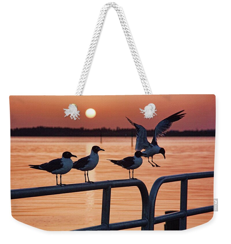 Anna Maria Island Florida Weekender Tote Bag featuring the photograph Late For Breakfast by HH Photography of Florida