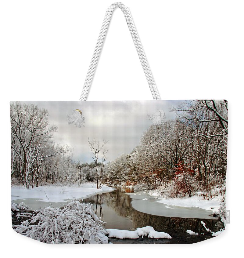 Snow Weekender Tote Bag featuring the photograph Late Winter Storm by Frank Winters