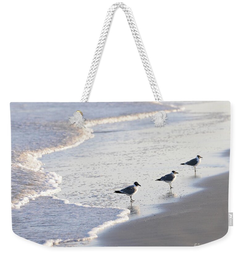 Sea Weekender Tote Bag featuring the painting Laughing Gulls Three by Constance Woods