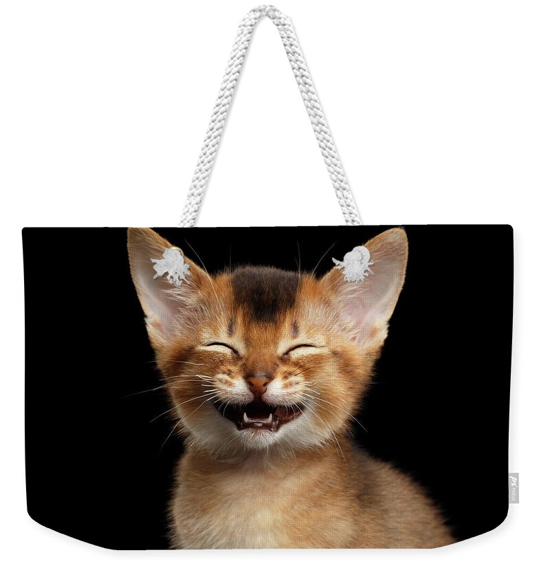 Kitten Weekender Tote Bag featuring the photograph Laughing Kitten by Sergey Taran
