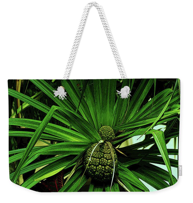Hala Weekender Tote Bag featuring the photograph Lauhala Plant by Craig Wood