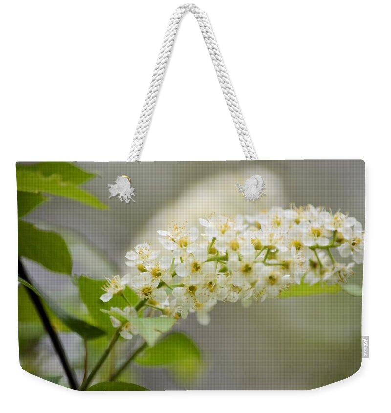 Blossom Weekender Tote Bag featuring the photograph Laurel Blossom by Bonfire Photography