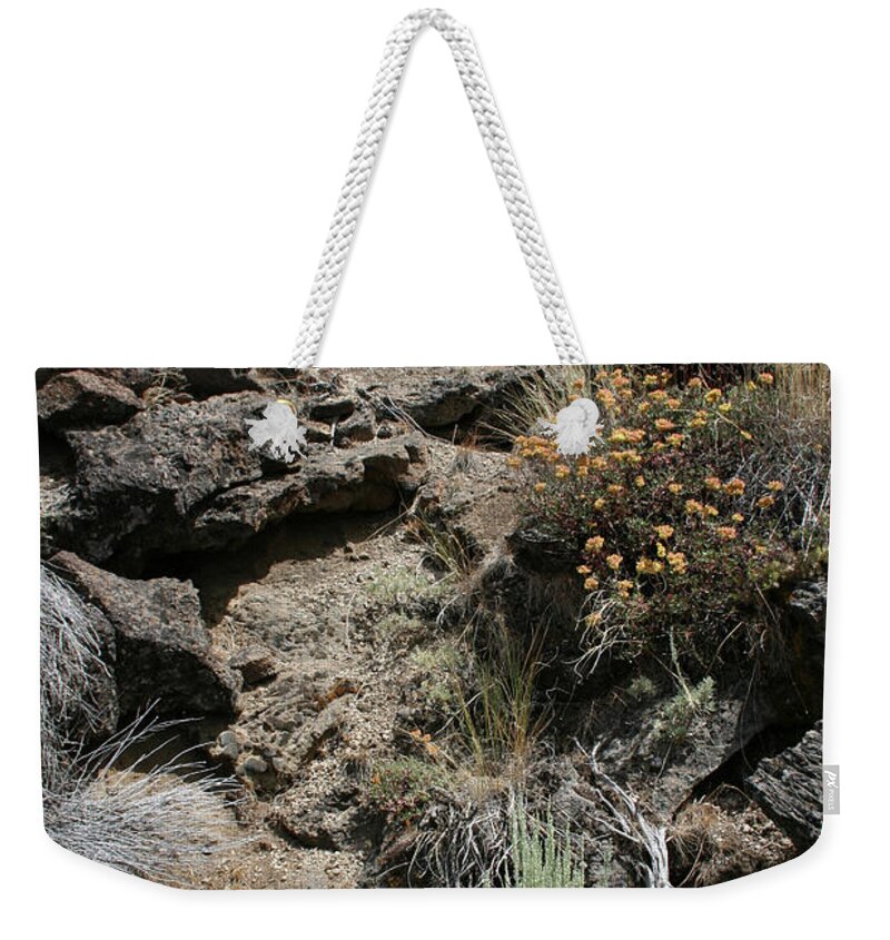 Lava Bed Life V Weekender Tote Bag featuring the photograph Lava Bed Life V by Dylan Punke