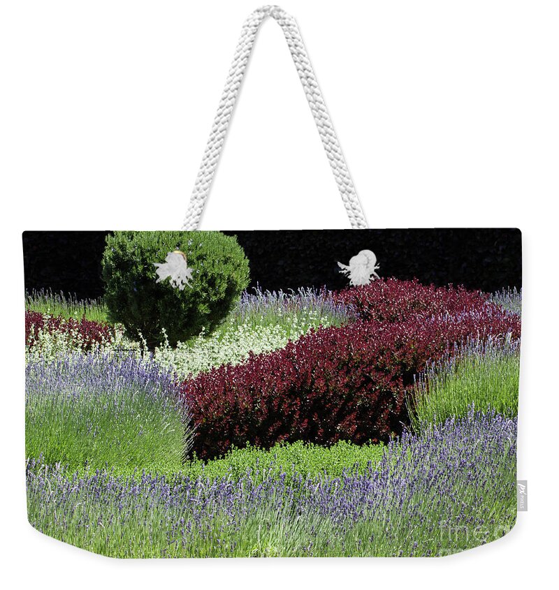 Lavender Weekender Tote Bag featuring the photograph Lavender And Shrub Garden by Suzanne Luft