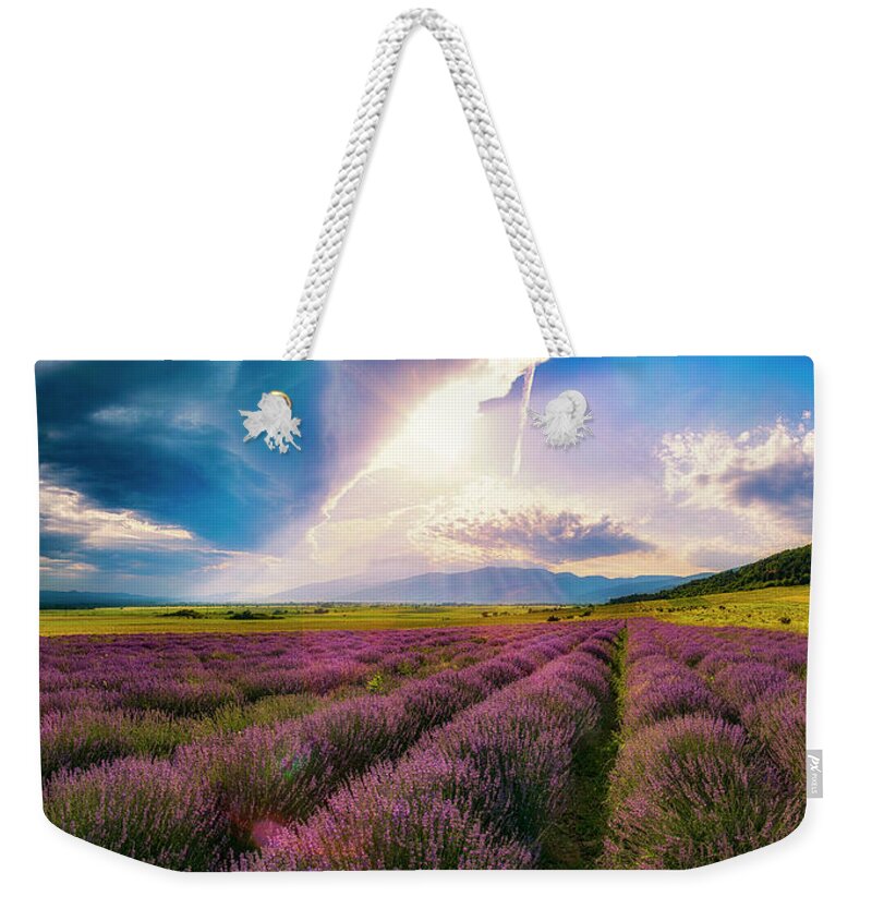 Field Weekender Tote Bag featuring the photograph Lavender field panorama by Plamen Petkov