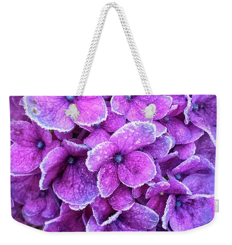 Delphinium Weekender Tote Bag featuring the photograph Lavender Ice by Jill Love